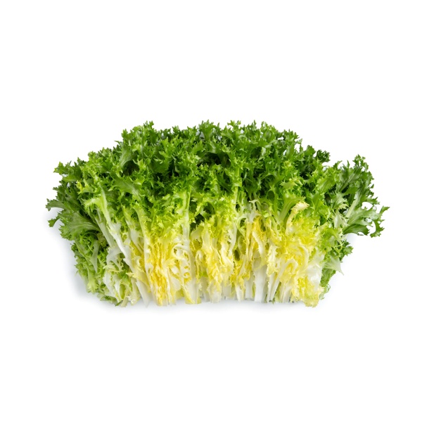 TIKODAL RZ product photo view-3 L