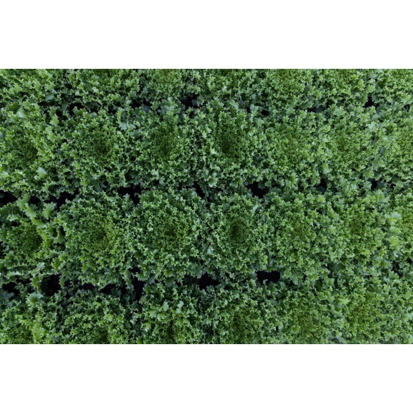 SINTINAL RZ product photo view-4 L