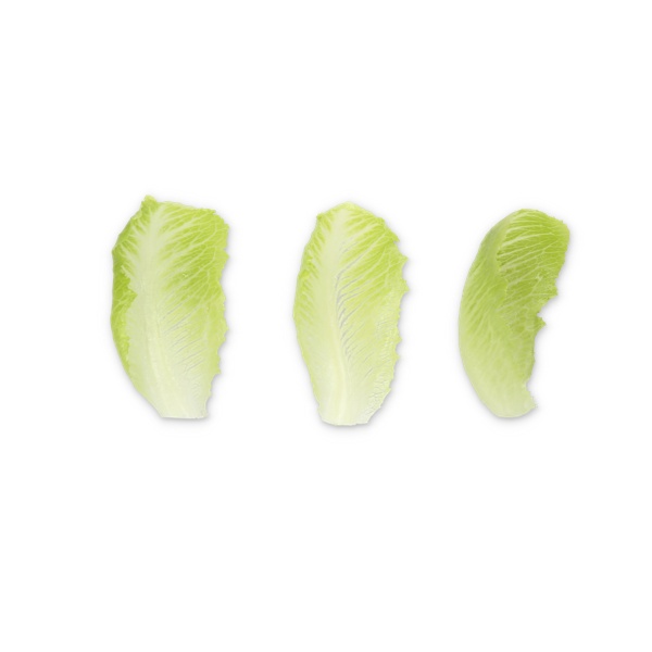 SUMMERITA RZ (41-CR2433) product photo front L