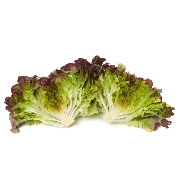 PRUNAÏ RZ product photo view-3 L