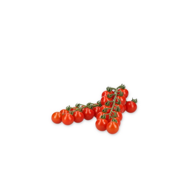 PROVENTURA RZ F1 (72-CH0363) - Tomato | Rijk Zwaan