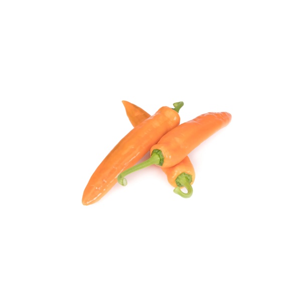 PALERMO OXALIS RZ F1 product photo view-4 L