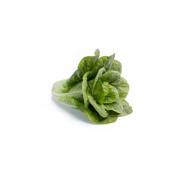 SAMPEDRO RZ product photo view-3 L