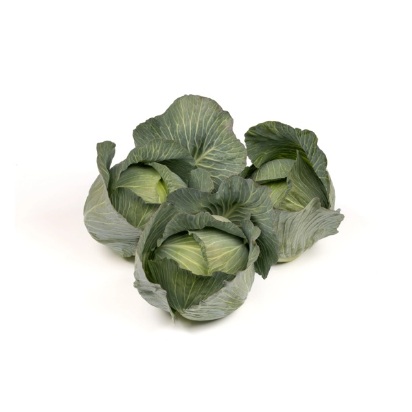 DERBYMA F1 (30-WC778) product photo view-3 L