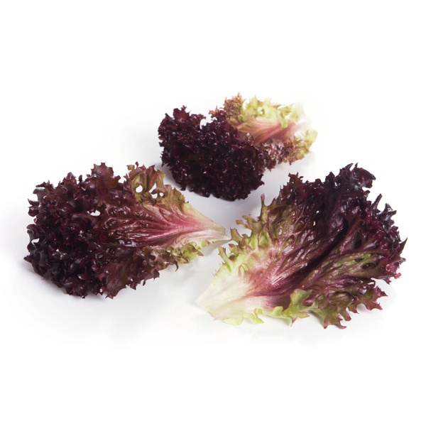 CARNELIAN RZ product photo view-4 L