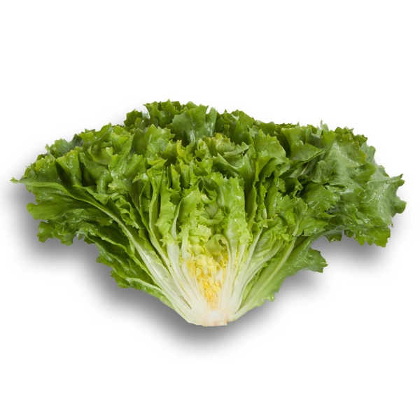 CARDAKI (11-605) Produktbild view-2 L