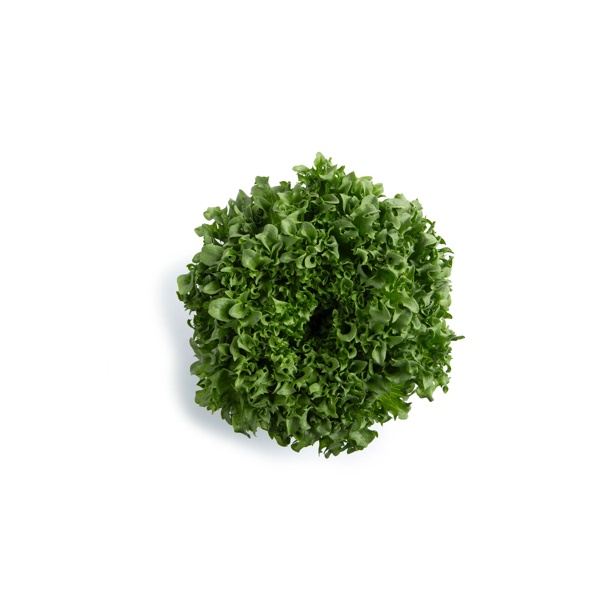 CRYSTIQUE (44-CL1573) Knox™ product photo front L