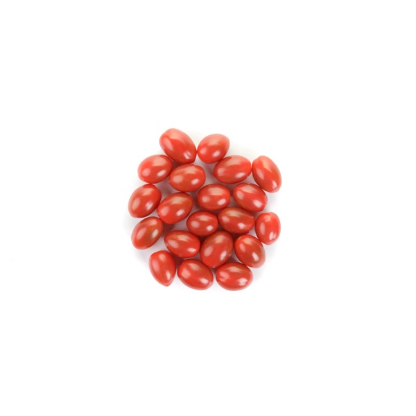 RASBORA RZ F1 (72-020) product photo view-3 L