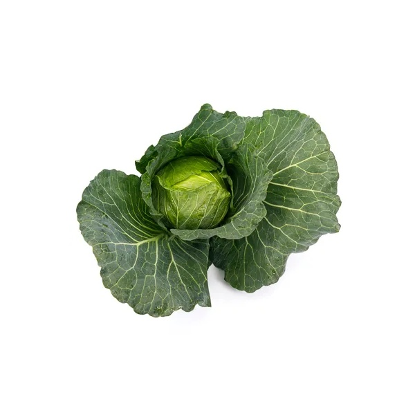 CACHUMA RZ F1 product photo view-3 L