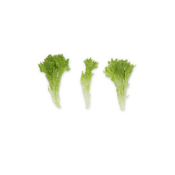 EXABREEZE RZ product photo view-3 L