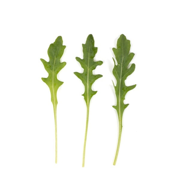 DIOMEDES (89-WR015) product photo view-3 L