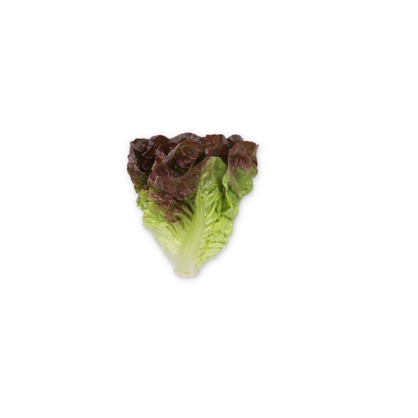 CORAINE RZ Knox™ product photo view-2 L