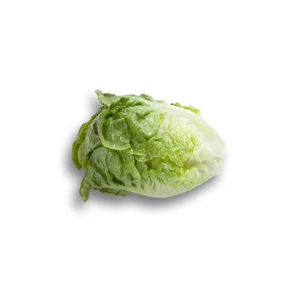 RINCON RZ product photo view-2 L