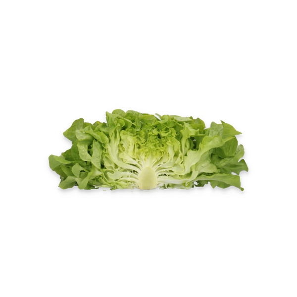 KIDOW RZ (83-104) product photo view-3 L