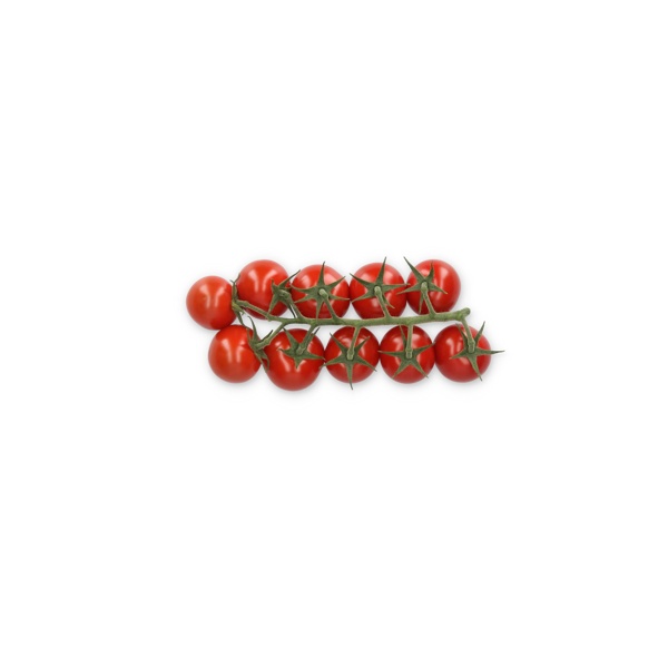 LUCIOSO RZ F1 (72-CK0620) product photo front L