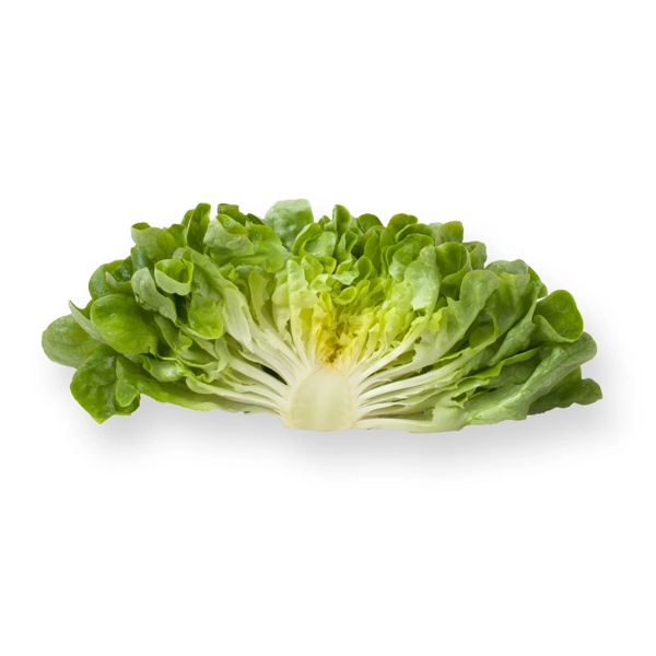 COOK RZ product photo view-3 L