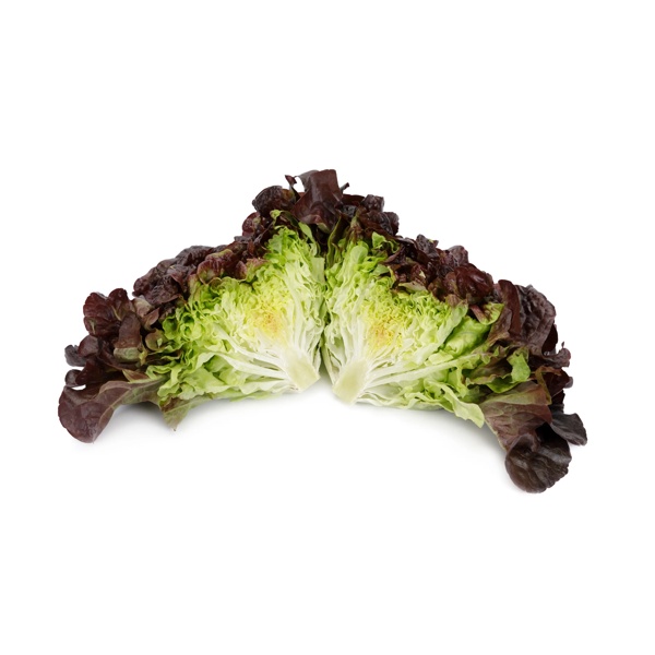 ROMAI RZ product photo view-2 L