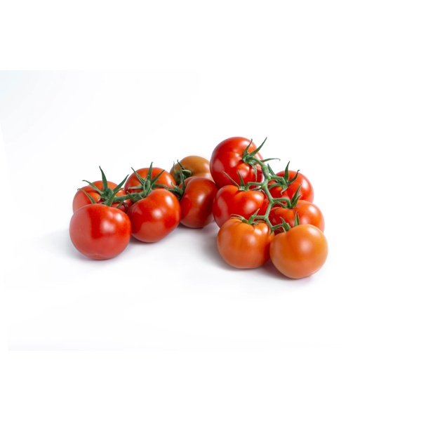 PONTAL RZ F1 product photo view-3 L