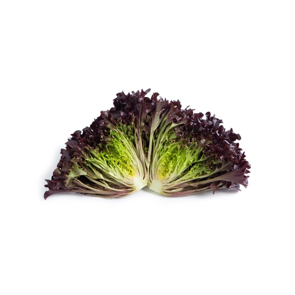 DAFEX RZ Knox™ product photo view-2 L