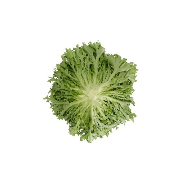 Lettuce Seeds | Salanova | Incised leaf sweet crisp frisée