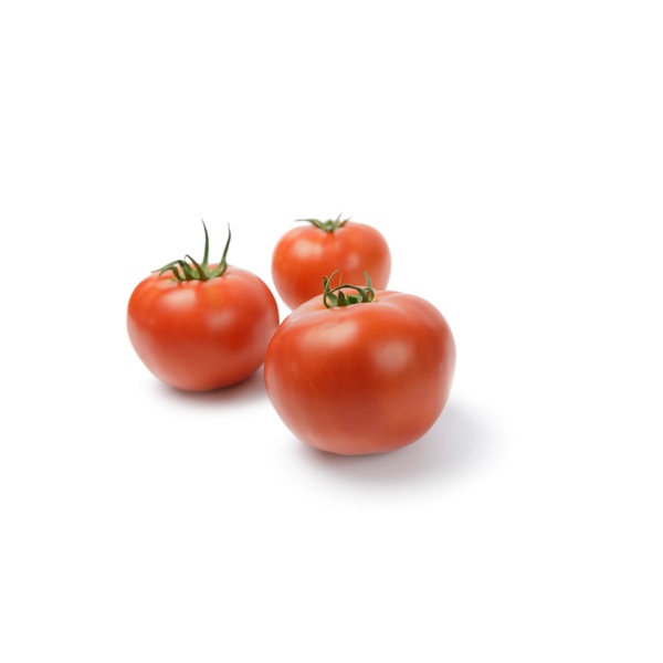 DESPINA RZ F1 product photo view-2 L