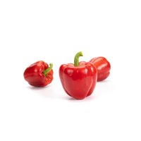 비날레스 VINALES RZ F1 product photo
