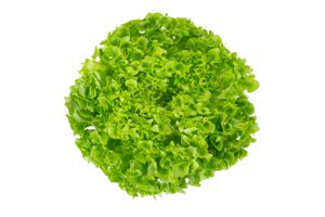 LIMAMBO RZ product photo