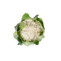 PAXTON RZ F1 (26-229) product photo