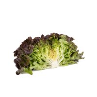 BALAKAI RZ (83-OA5181) product photo