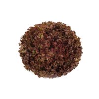 BARTAL RZ (81-BA5005) product photo