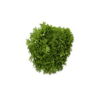EXABREEZE RZ product photo