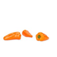 ORANGE OBLEA RZ F1 (35-MO1485) product photo