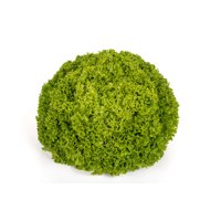 85-LE1448 RZ product photo