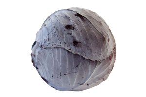RESIMA RZ F1 product photo