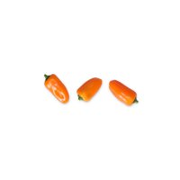 ORANGE TUMTUM RZ F1 product photo