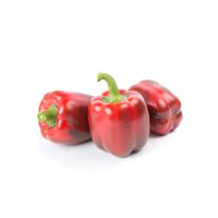 STARLET RZ F1 product photo