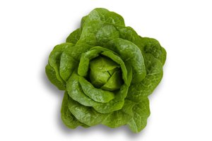 GRADARA RZ product photo