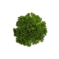EXMOND RZ product photo