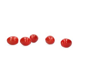 RASBORA RZ F1 (72-020) product photo