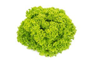 TERAMO RZ product photo