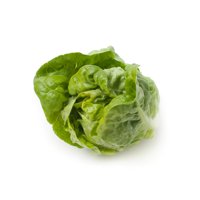 TUDELA RZ product photo