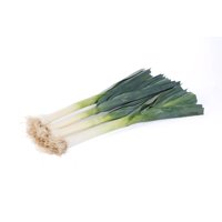 MAMMATUS F1 (38-EM7086) Produktbild