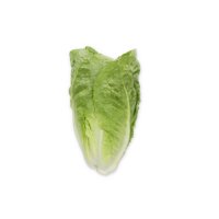 CAICEDO RZ (41-CO2151) Knox™ product photo