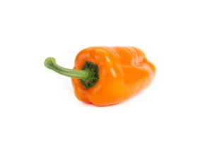 MITAYO RZ F1  product photo