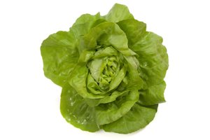 JOLITO RZ product photo