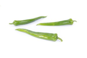 南优41(37-41)Furnas product photo