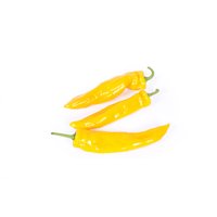 PALERMO YELIBER RZ F1 (35-523) product photo
