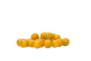 SUNCERY RZ F1 product photo