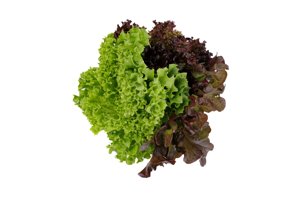 Salatriomix 1 (3x25tpc) product photo