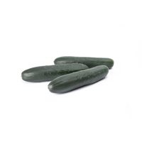 INDURAN RZ F1 product photo
